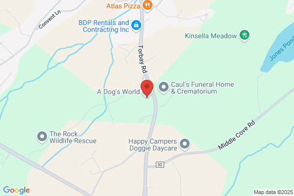A Dog's World Inc