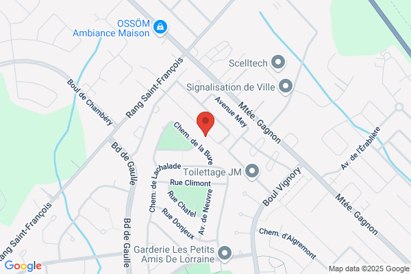 Les peintres Lorraine