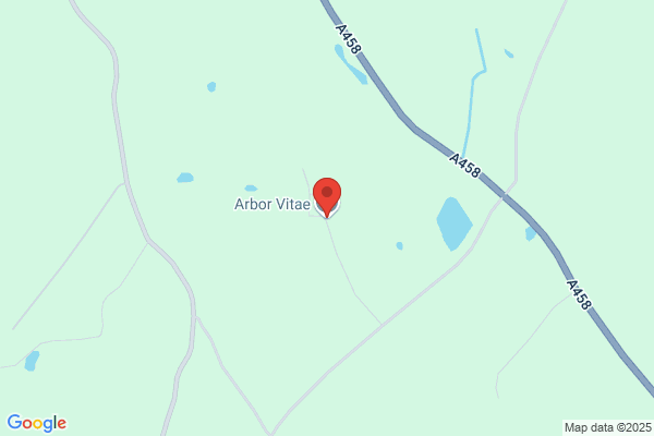 Arbor Vitae Canoes
