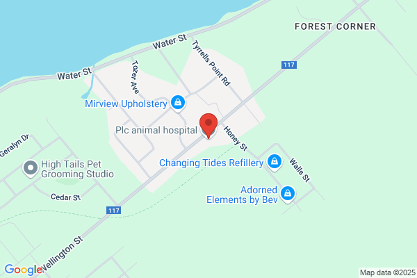 PLC Animal Hospital
