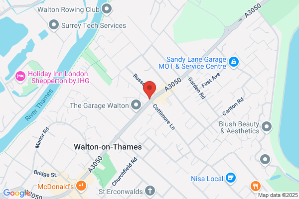 Aysa Walton Pet Grooming