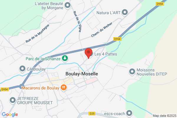 Ecole De Violon Et De Danse A Claquette Jocelyne Bou