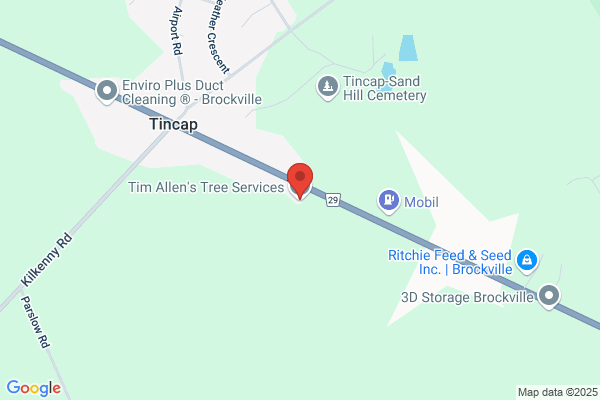 Tim Allen's Tree Service