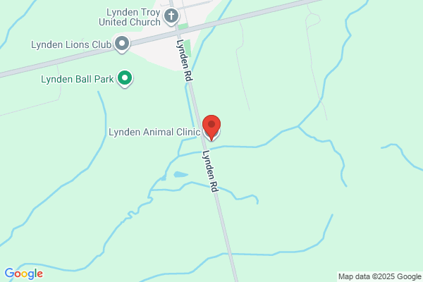 Lynden Animal Clinic