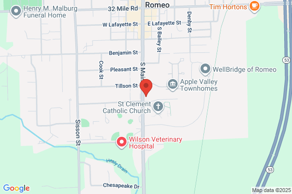 Romeo Florist Inc