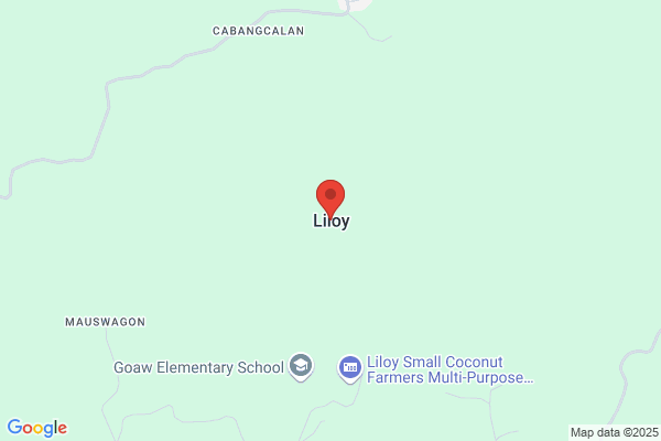 Liloy International Group Inc