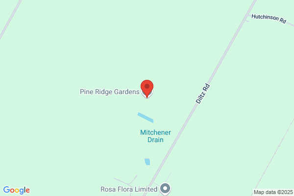 Pine Ridge Garden Gallery