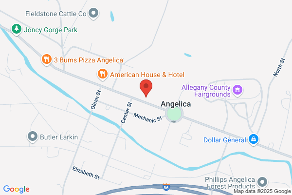 Angelica Collection Trading Co