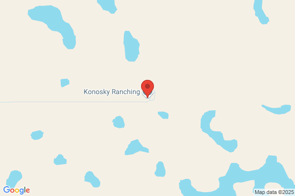Konosky Ranching Ltd