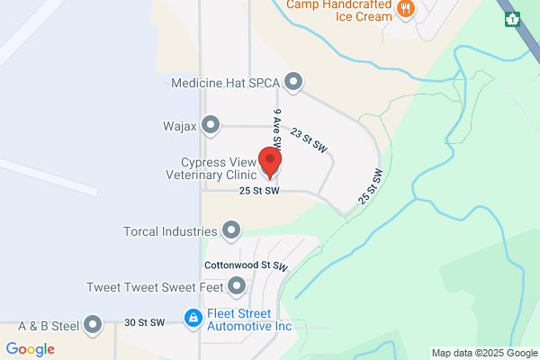 Cypress View Veterinary Clinic
