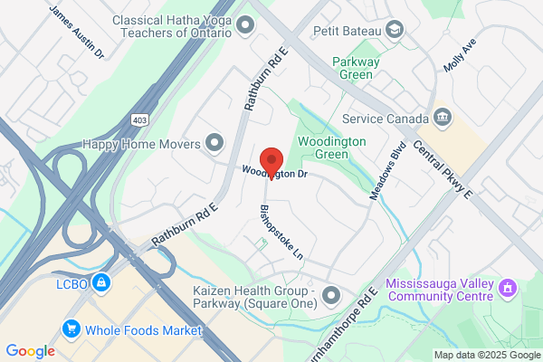 Raccoon Removal Mississauga