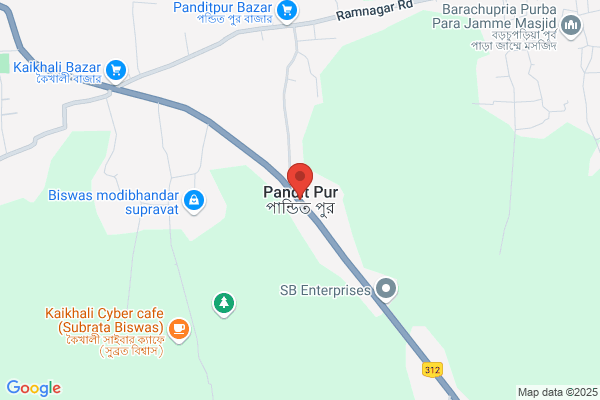 Pandit