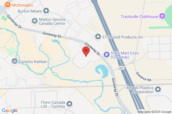 Global Sensor Systems Inc