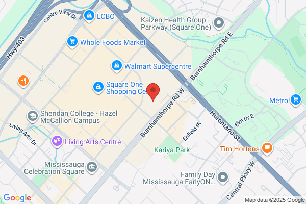 GTA Mold Removal Mississauga