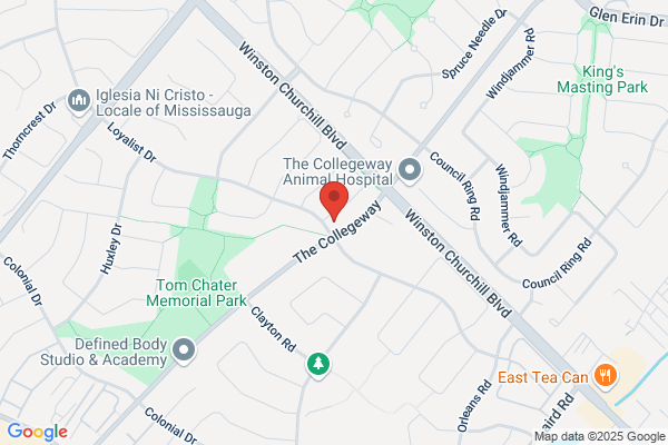Churchill Chiropractic Clinic
