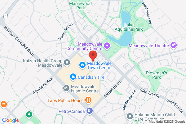 Meadowvale Dental Group