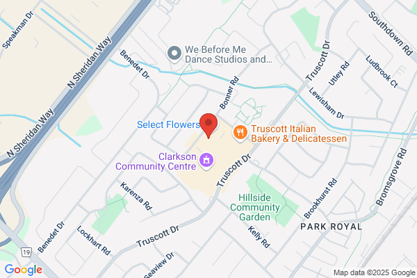 Mississauga Dental OFffice Dentist