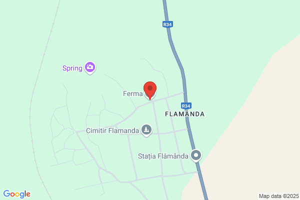 Ferma Travel Agency