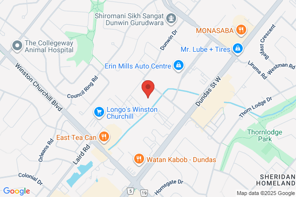 Erin Mills Auto Detailing