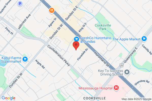 Taoist Tai Chi Society-Mississauga