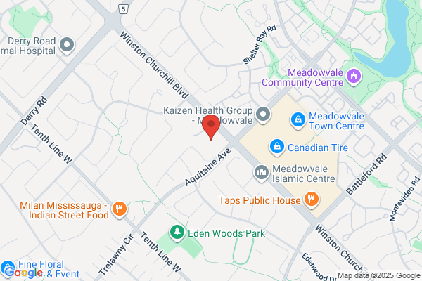 Meadowvale Pharmacy Ltd