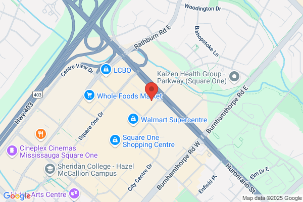 Cibc Wood Gundy, Investment Dlrs, Mississauga