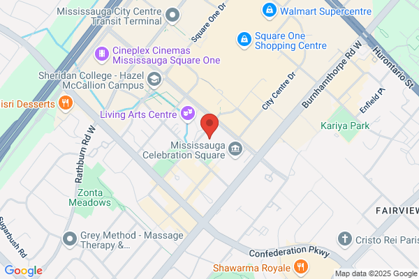Municipal Government Services, Mississauga