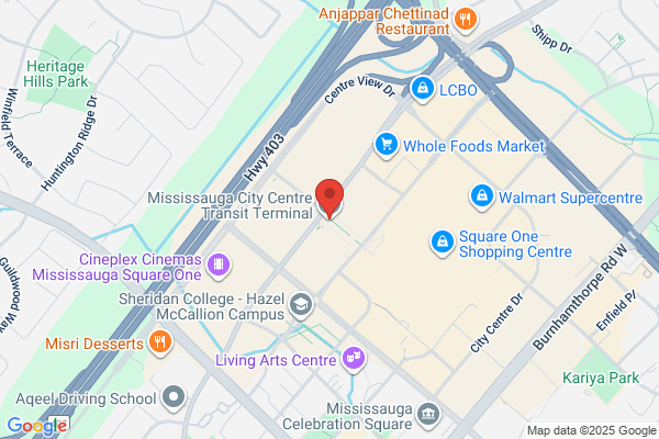 Transit, Mississauga (City of), Mississauga Transit, Information Customer Service and Lost and Found