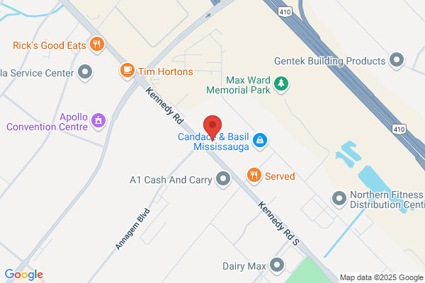 D J Orthopedics Canada Inc