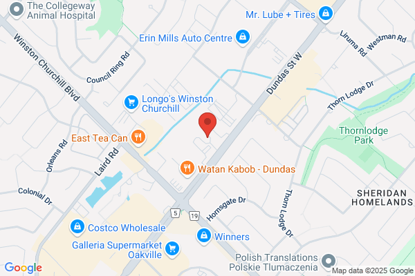 Doctor's Office the-MCI Medical Clinics Inc, No App't Req'd & Family Practice