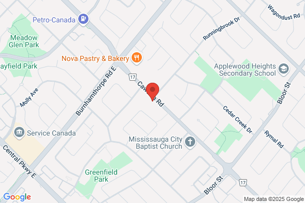 Cawthra & Lakeshore Natural Pain Relief Clinic