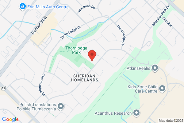 Stead Al Roofing