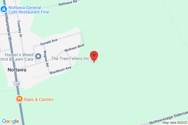 Tree Fellers Ltd