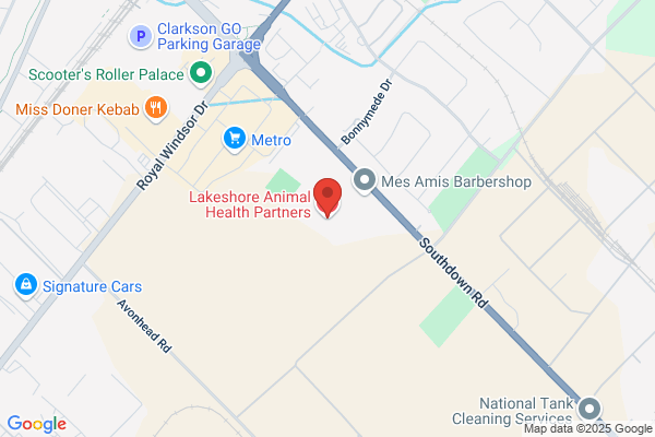 Lakeshore Animal Health Partners