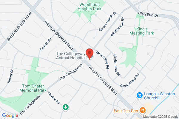 The Collegeway Animal Hospital