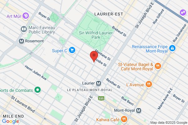 Laurence Lippens Acupuncteure