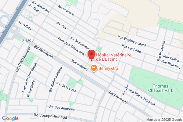 Clinique Veterinaire De L'est