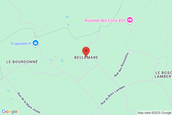 Bellemare Albert Avoc