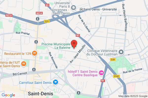 Requins De La Piscine St-Denis