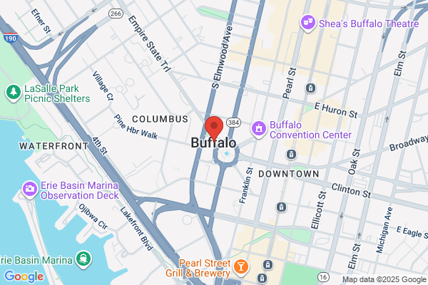 Buffalo 100