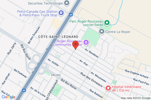 Lafreniere Rejean Peintr