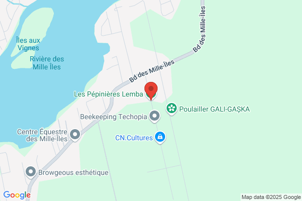 Entreprises Lemba Inc