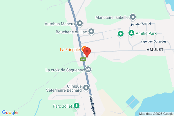 Projecson Audio-Visuel Inc (Les Entreprises)