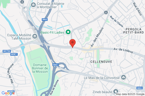 Al-Anon Groupes Familiaux, Centre De Documentation G F A