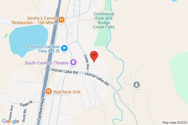 Hospital 100 Mile District General