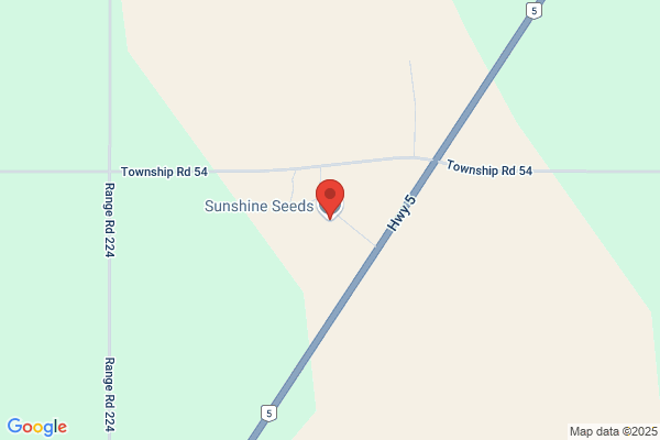 Sunshine Seeds Ltd