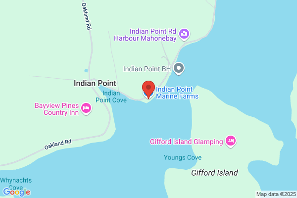 Indian Point Marine Farms Ltd