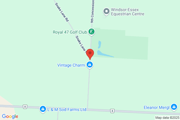 Tesla Electric Windsor Inc