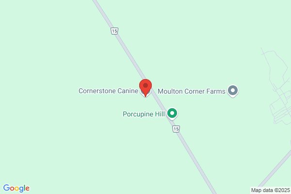 Cornerstone Canine