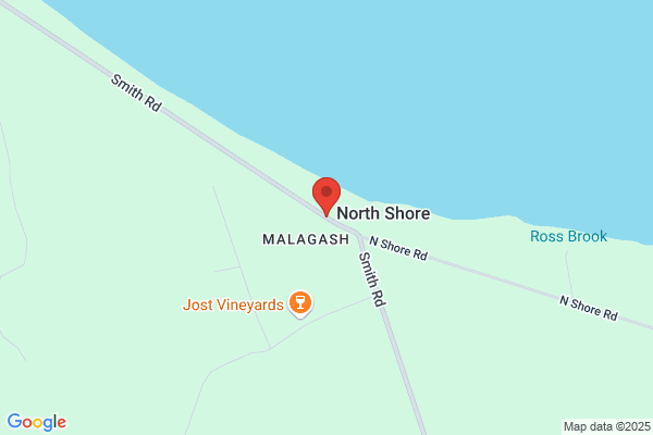 Mason Tree Experts
